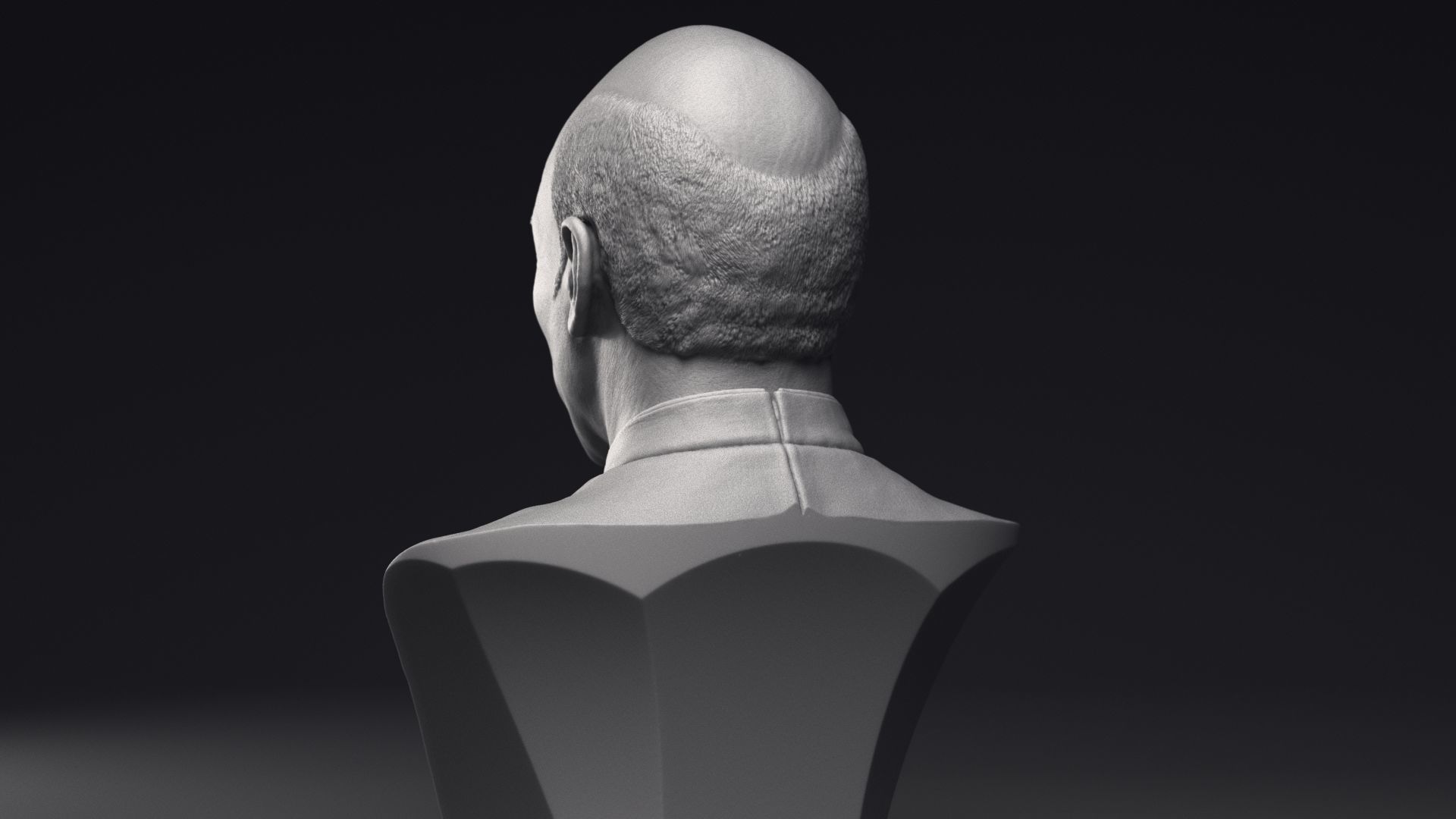 Patrick Stewart as Jean-Luc Picard Bust Printable 3D Model 3D print model_17