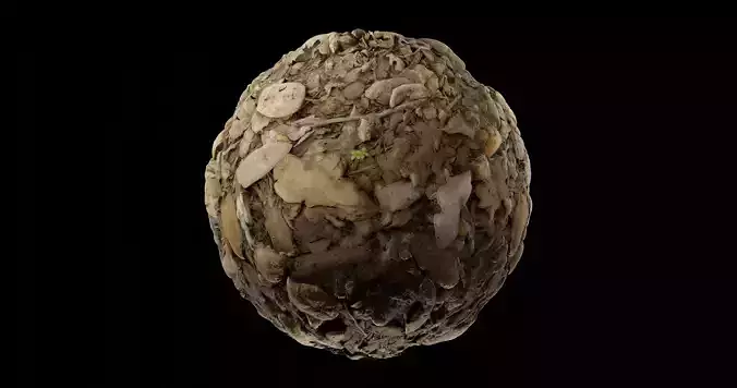 Leaves 4 egg Texture