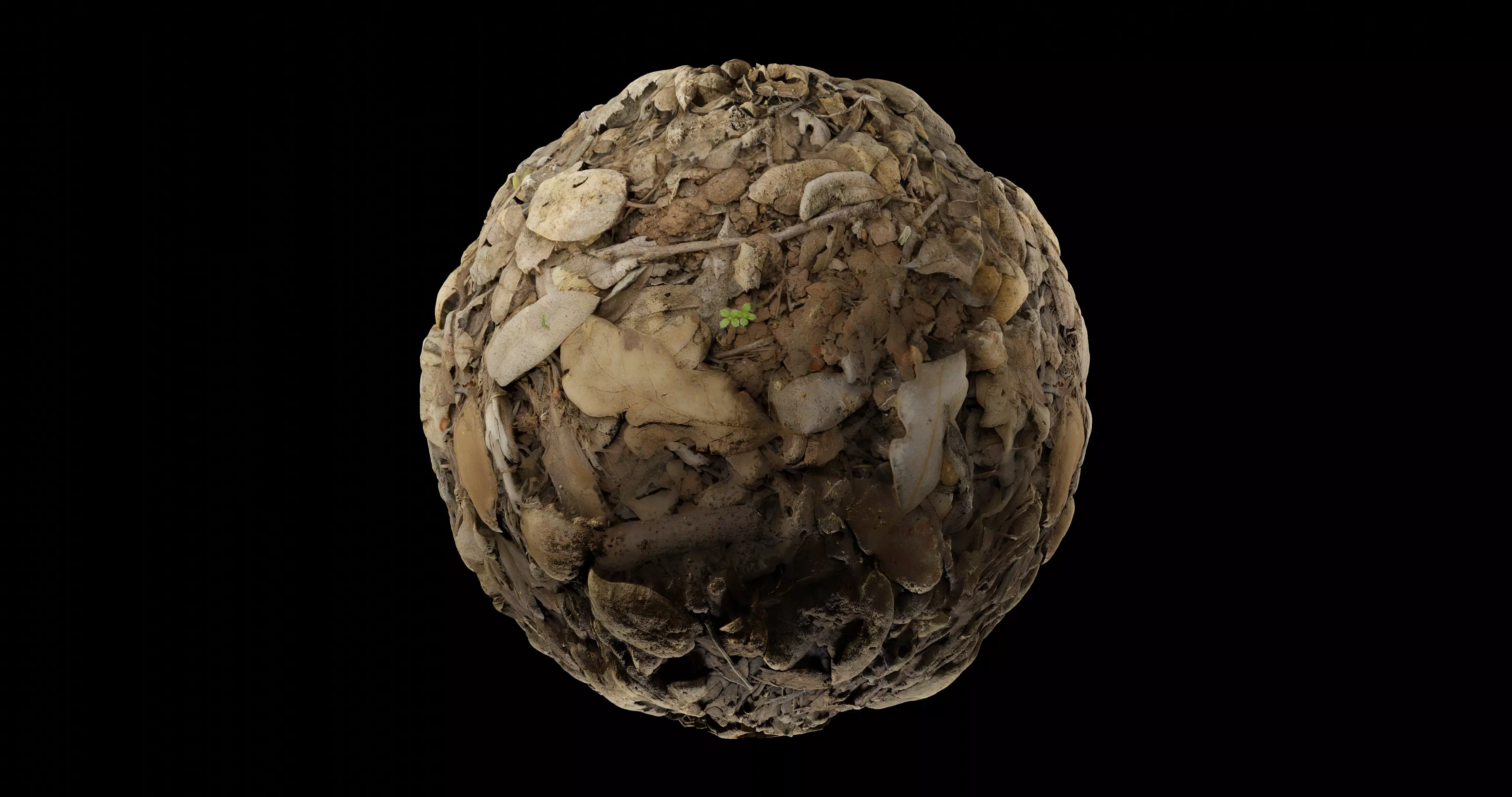 Leaves 4 egg Texture_0