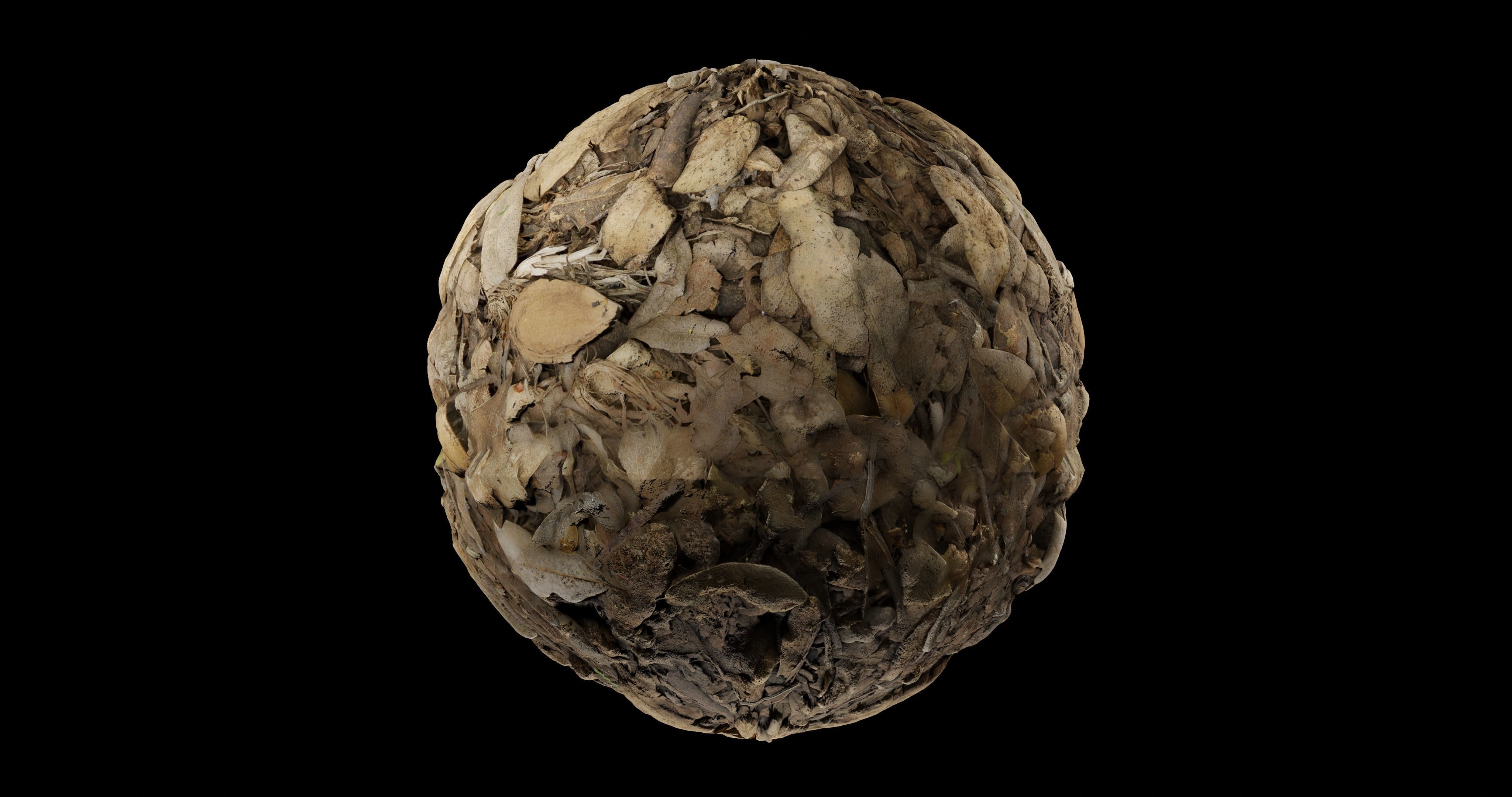 Leaves 4 egg Texture_1