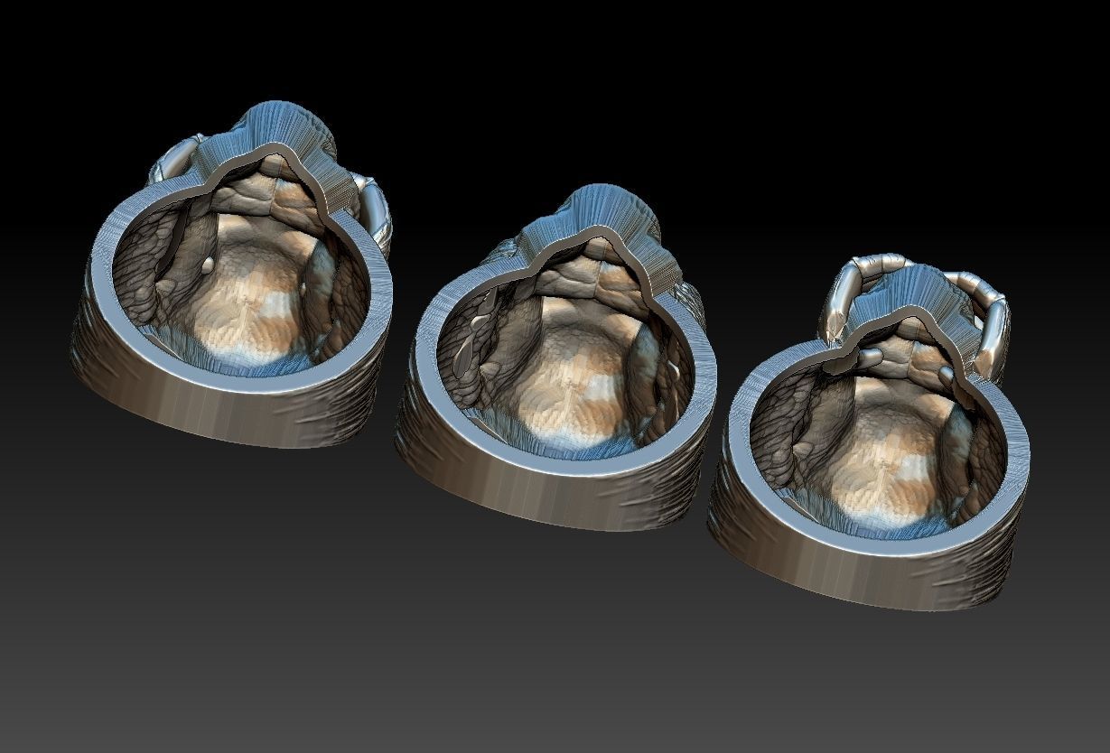Gorillas No Evil Ring 3D print model_9
