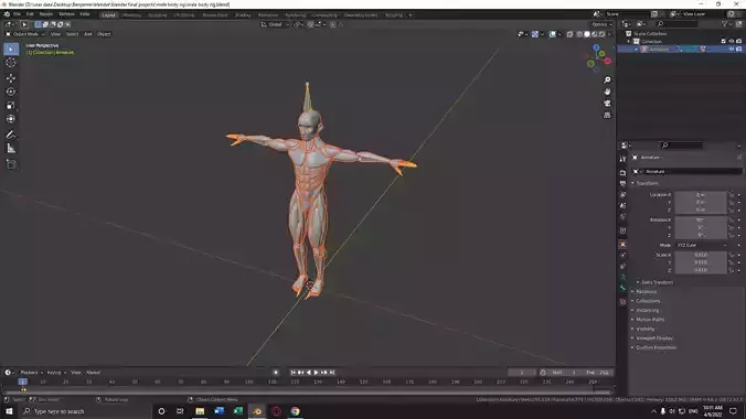 male body rigged