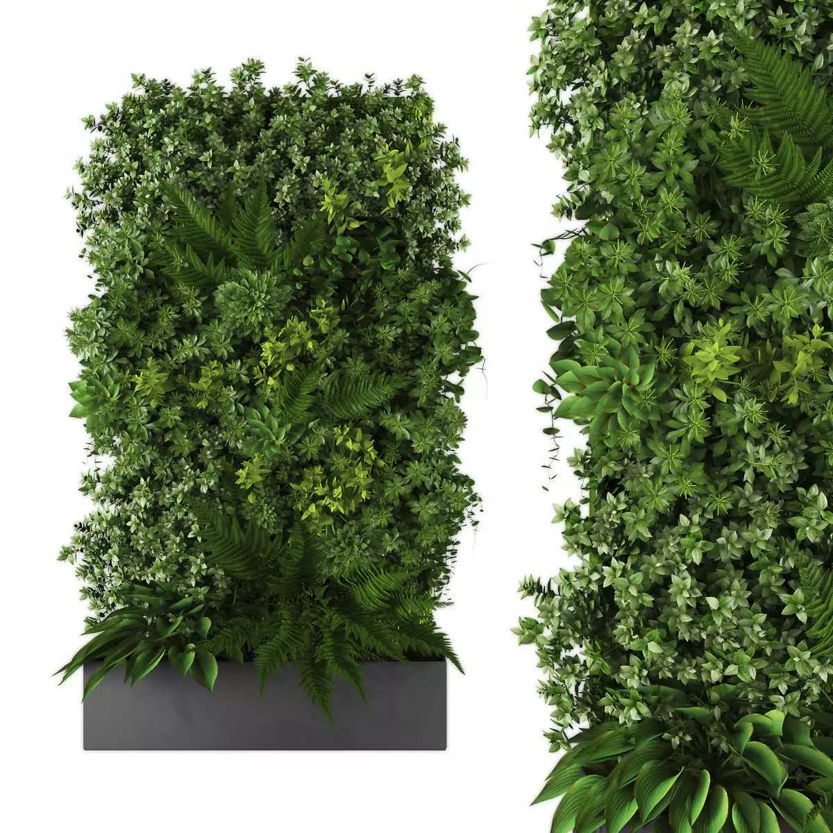 Vertical garden 167 Low-poly 3D model_0