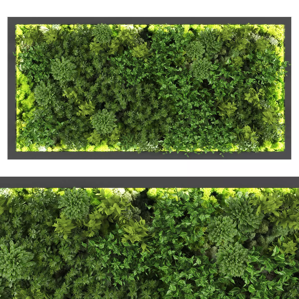 Vertical garden 169 Low-poly 3D model_0