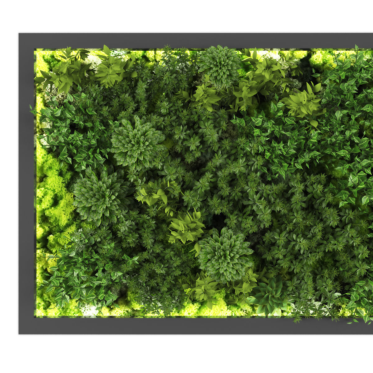 Vertical garden 169 Low-poly 3D model_1