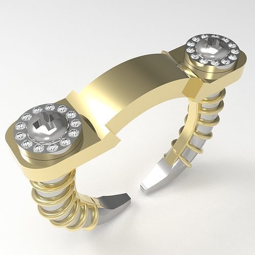  Screw Ring  3D print model