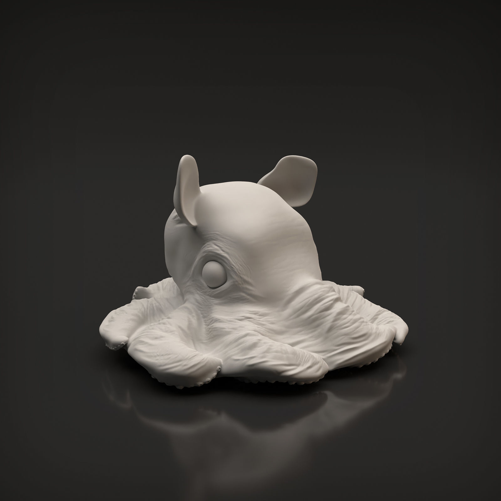 Dumbo Octopus for 3D Printing 3D print model_7