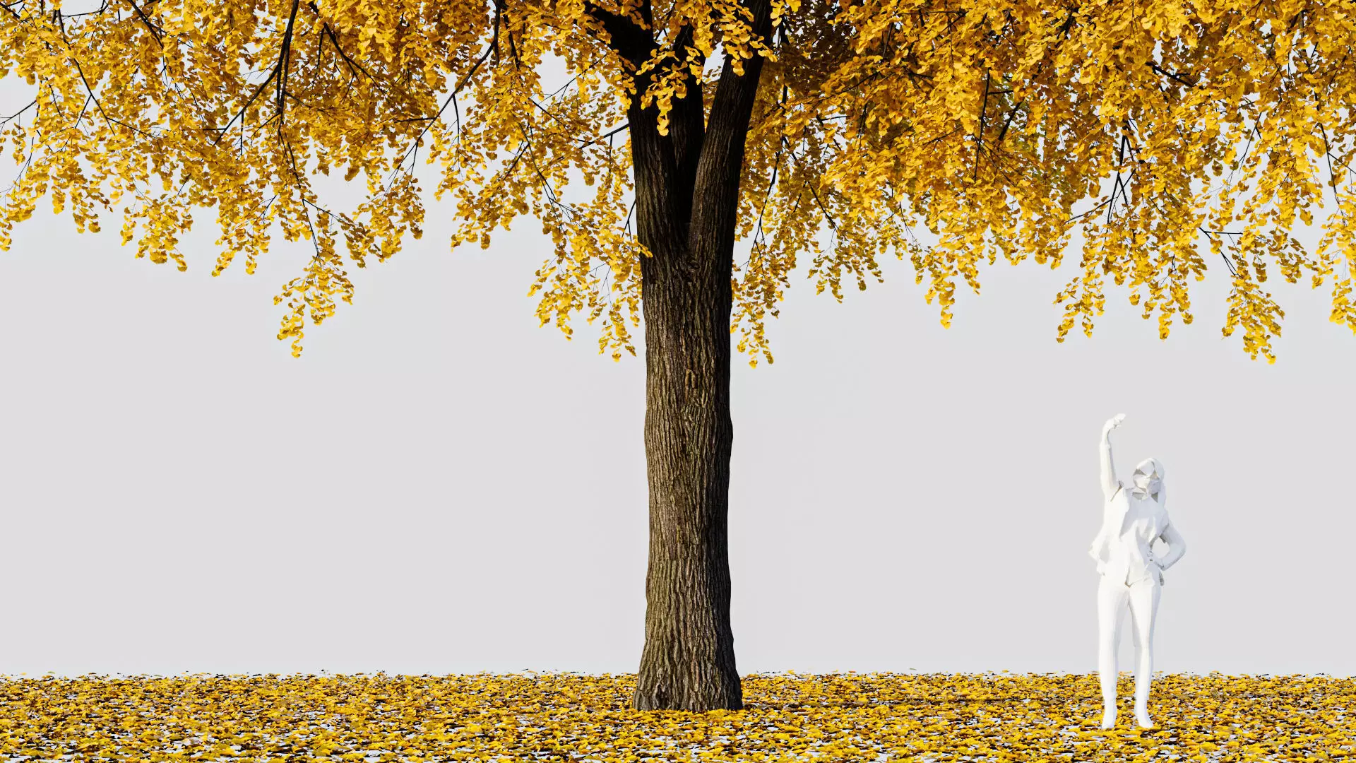 Gingko willow tree with leaves 3D model_0