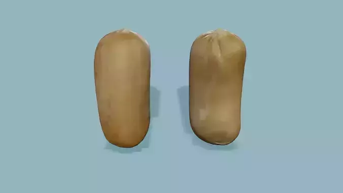 3D Scan Sausage 01 Low-poly 3D model