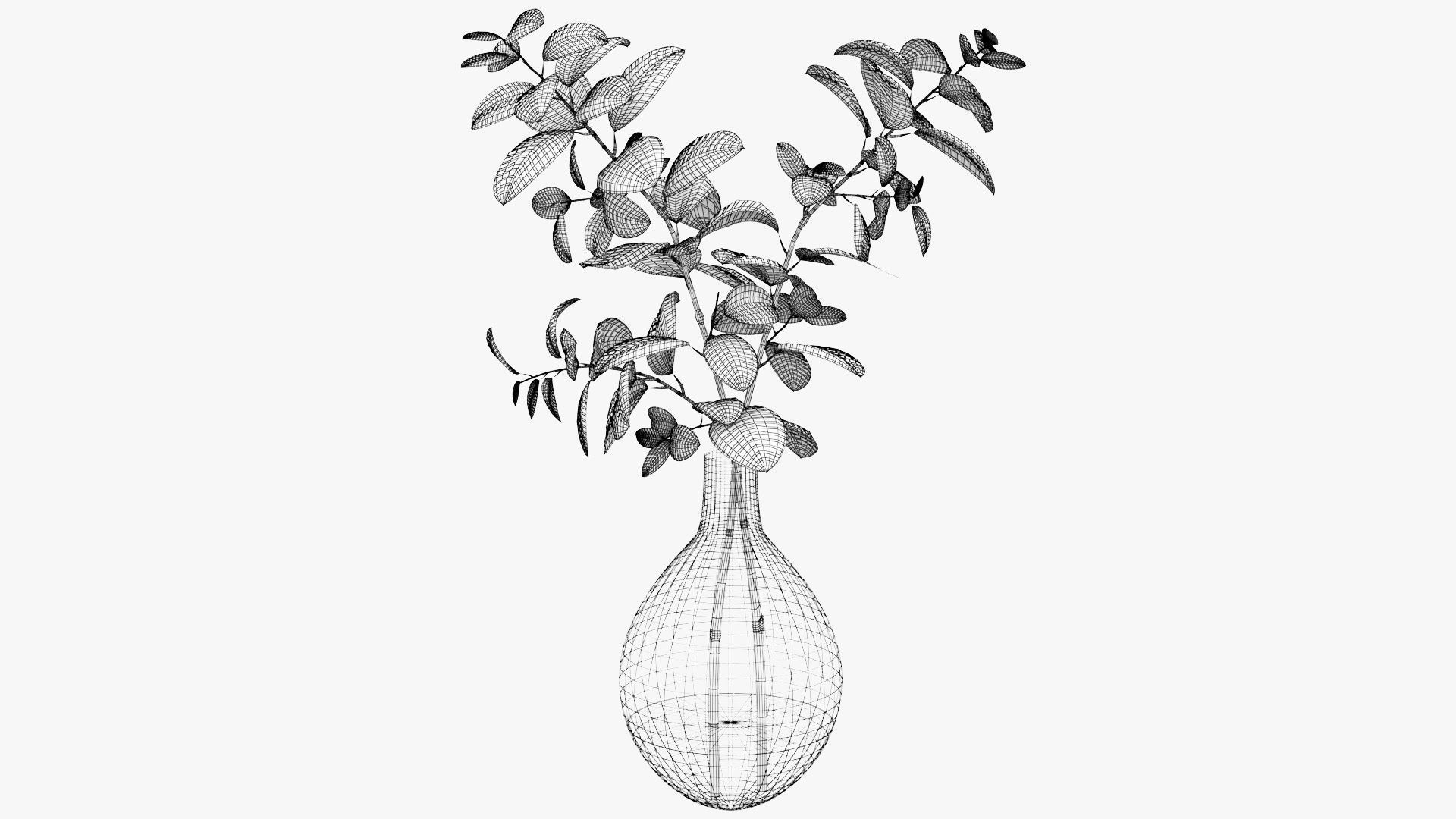 Eucalyptus Pot Plant Low-poly 3D model_10