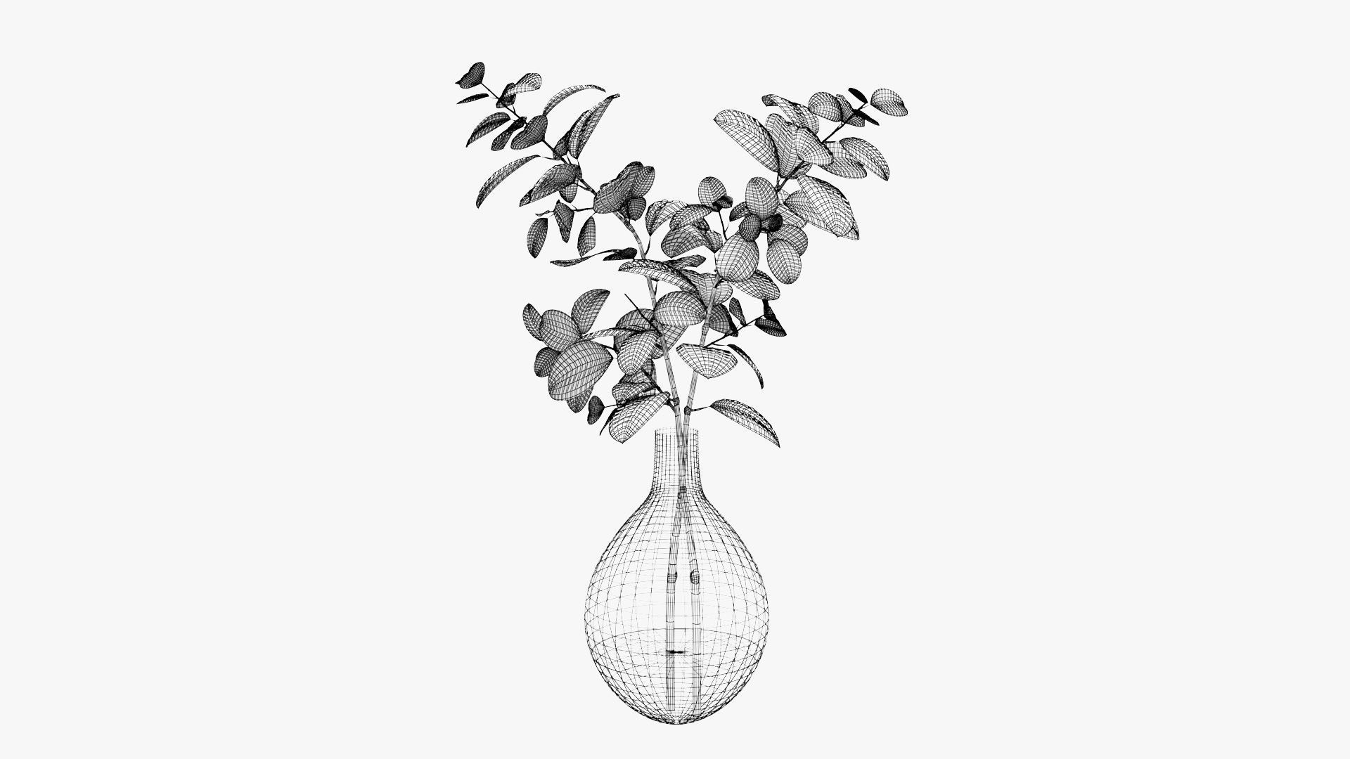 Eucalyptus Pot Plant Low-poly 3D model_14