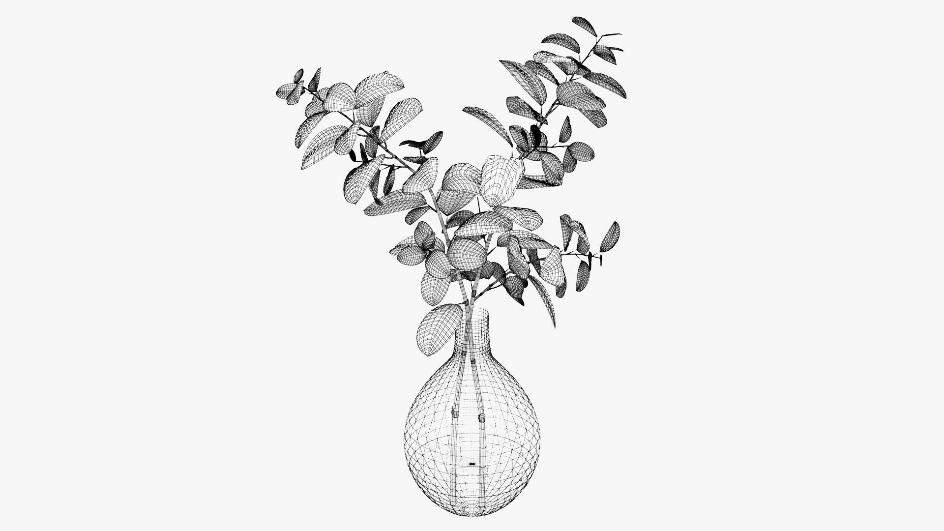 Eucalyptus Pot Plant Low-poly 3D model_16