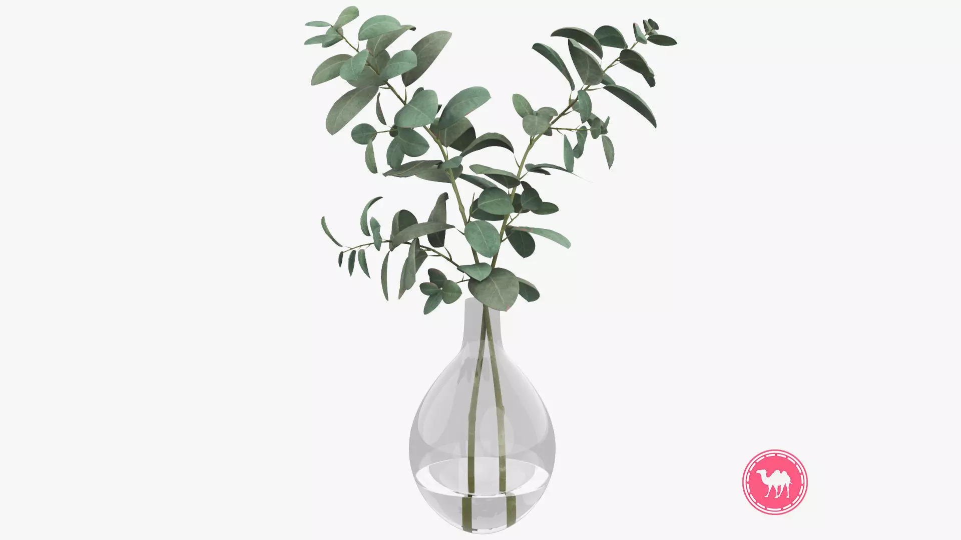 Eucalyptus Pot Plant Low-poly 3D model_0