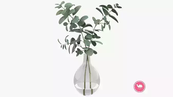 Eucalyptus Pot Plant Low-poly 3D model
