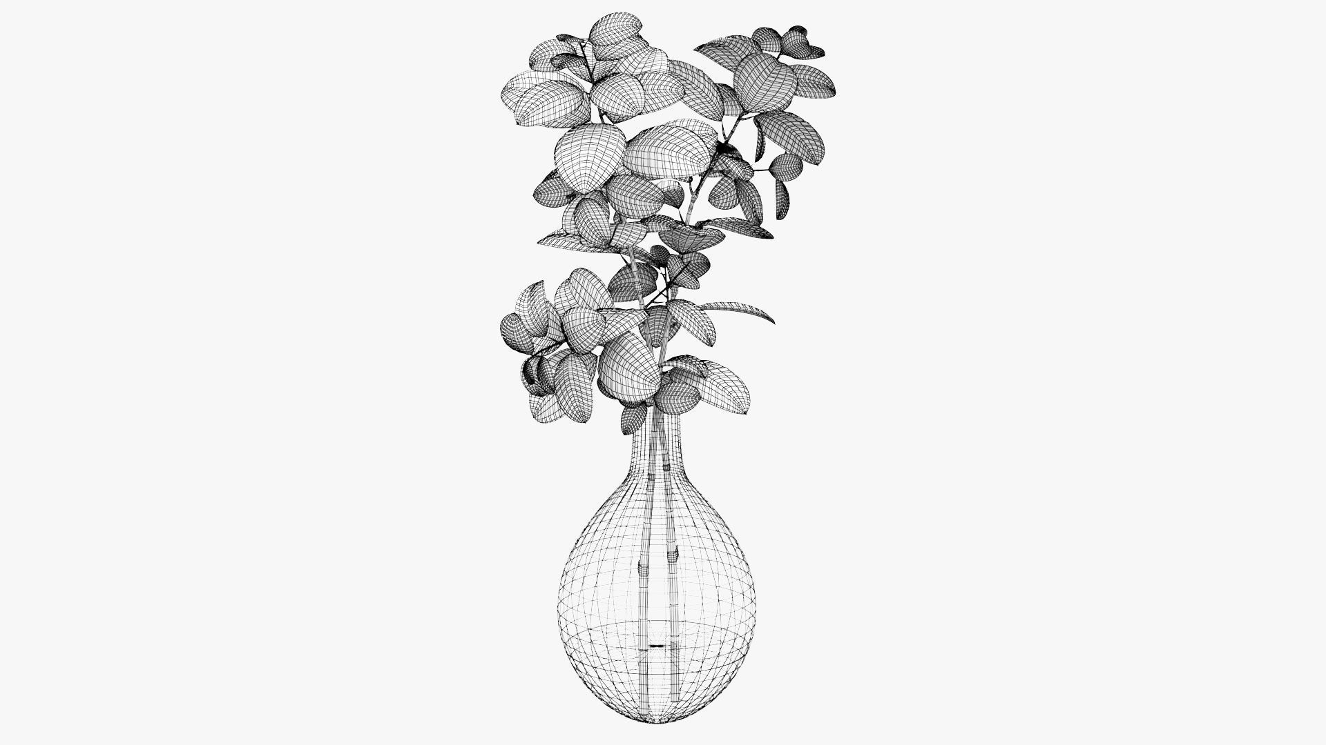 Eucalyptus Pot Plant Low-poly 3D model_17