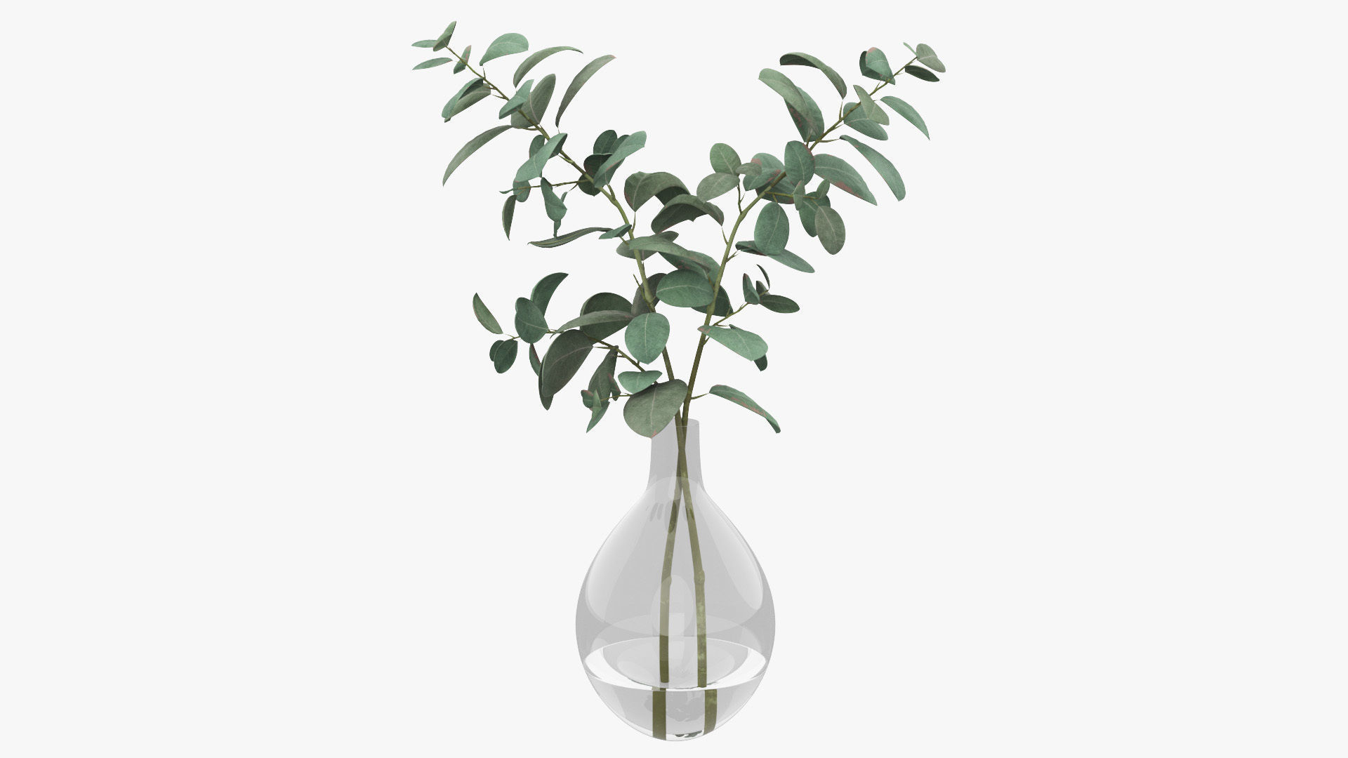 Eucalyptus Pot Plant Low-poly 3D model_28