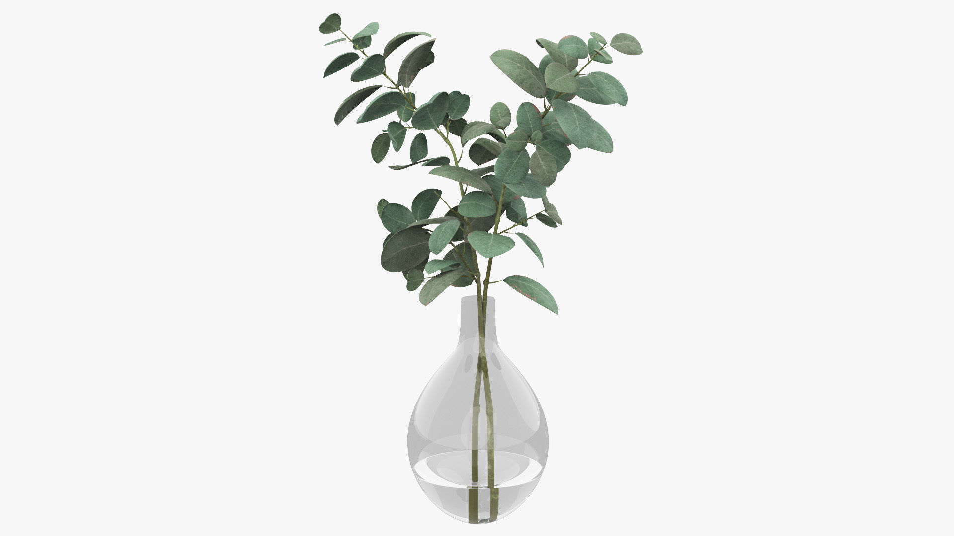 Eucalyptus Pot Plant Low-poly 3D model_27