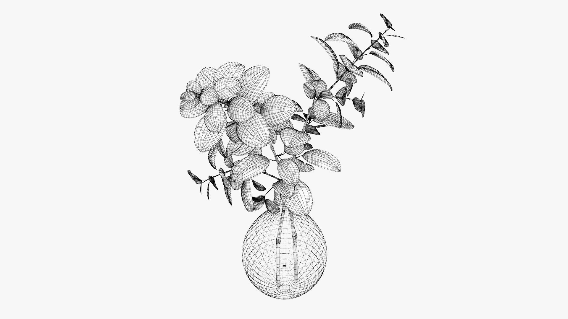 Eucalyptus Pot Plant Low-poly 3D model_13