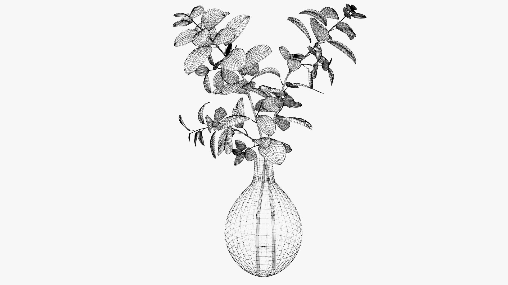 Eucalyptus Pot Plant Low-poly 3D model_18