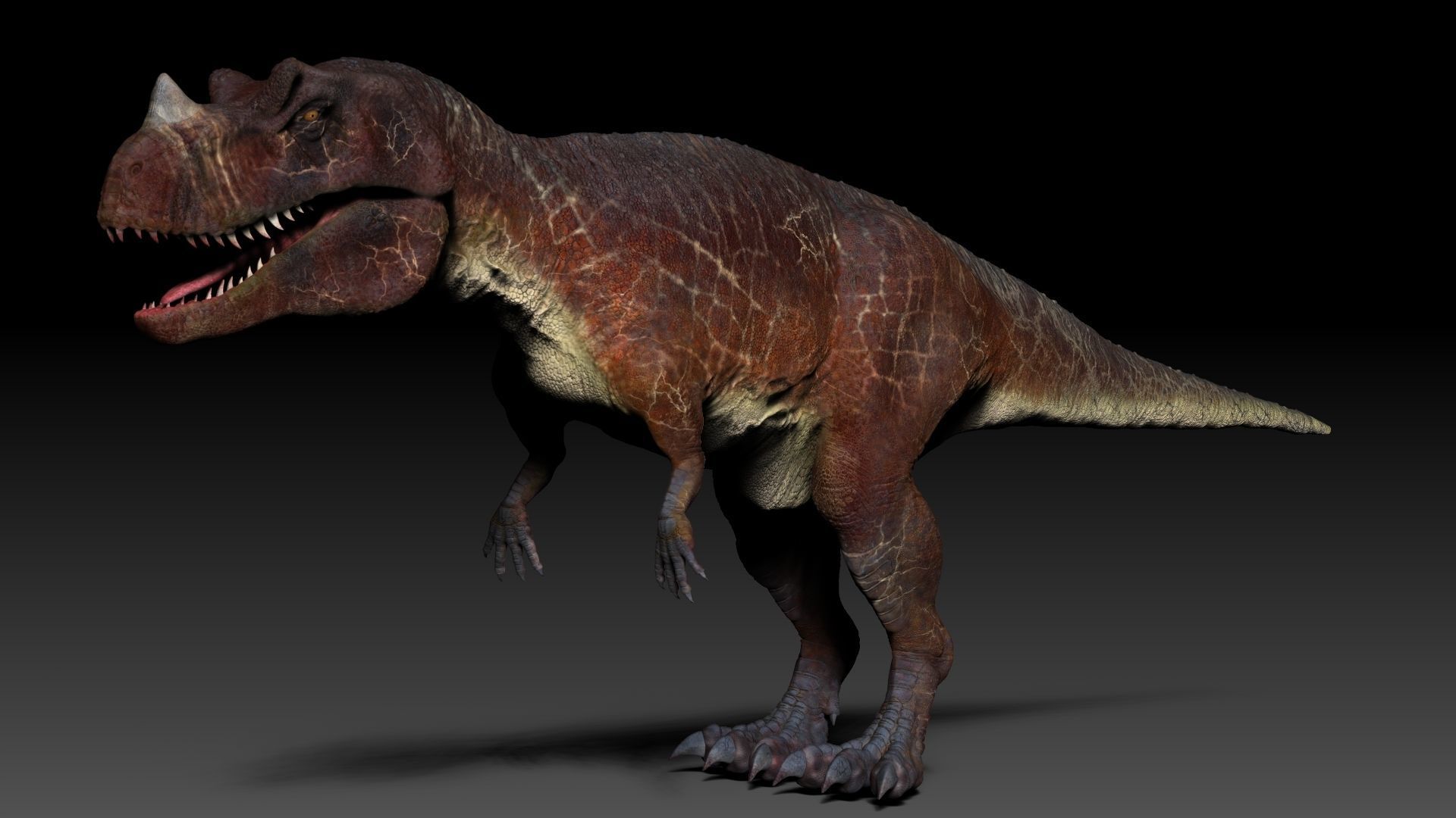 Dinosaur Caretosaurus Sculpt Project 3D model_5
