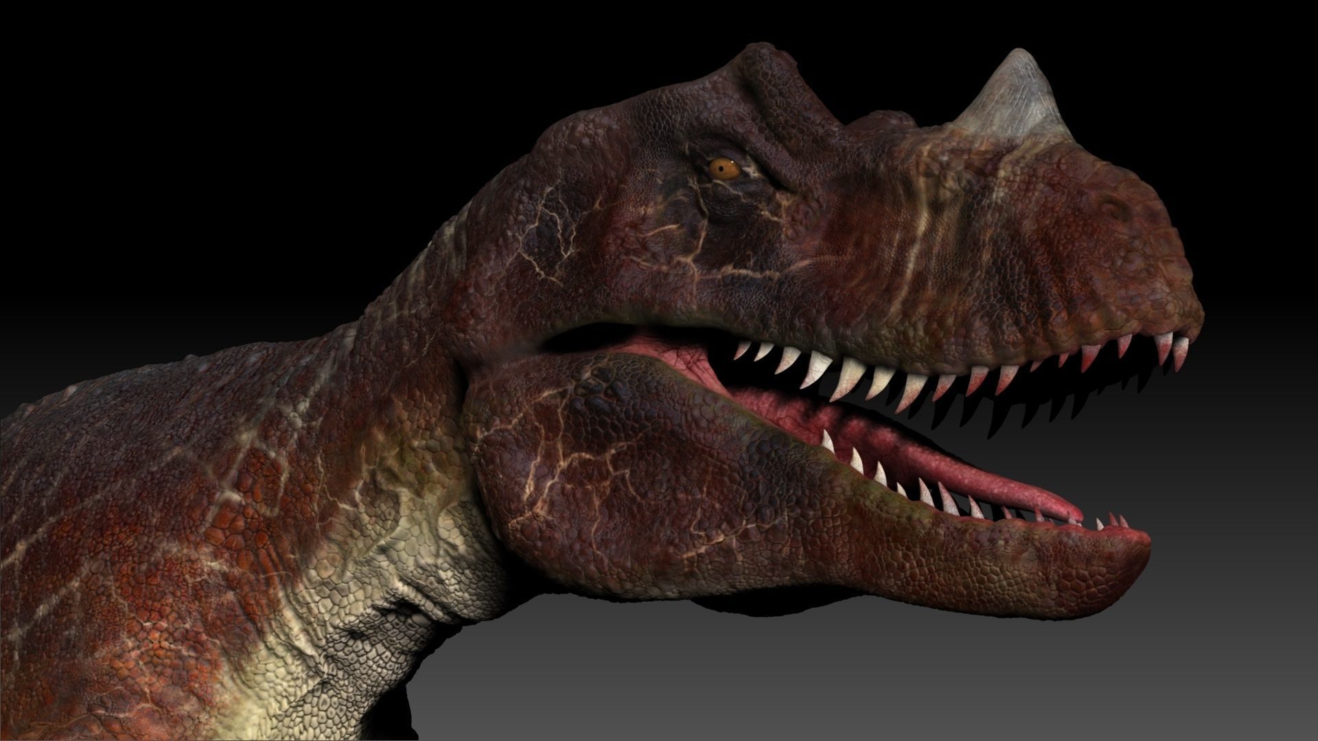 Dinosaur Caretosaurus Sculpt Project 3D model_4