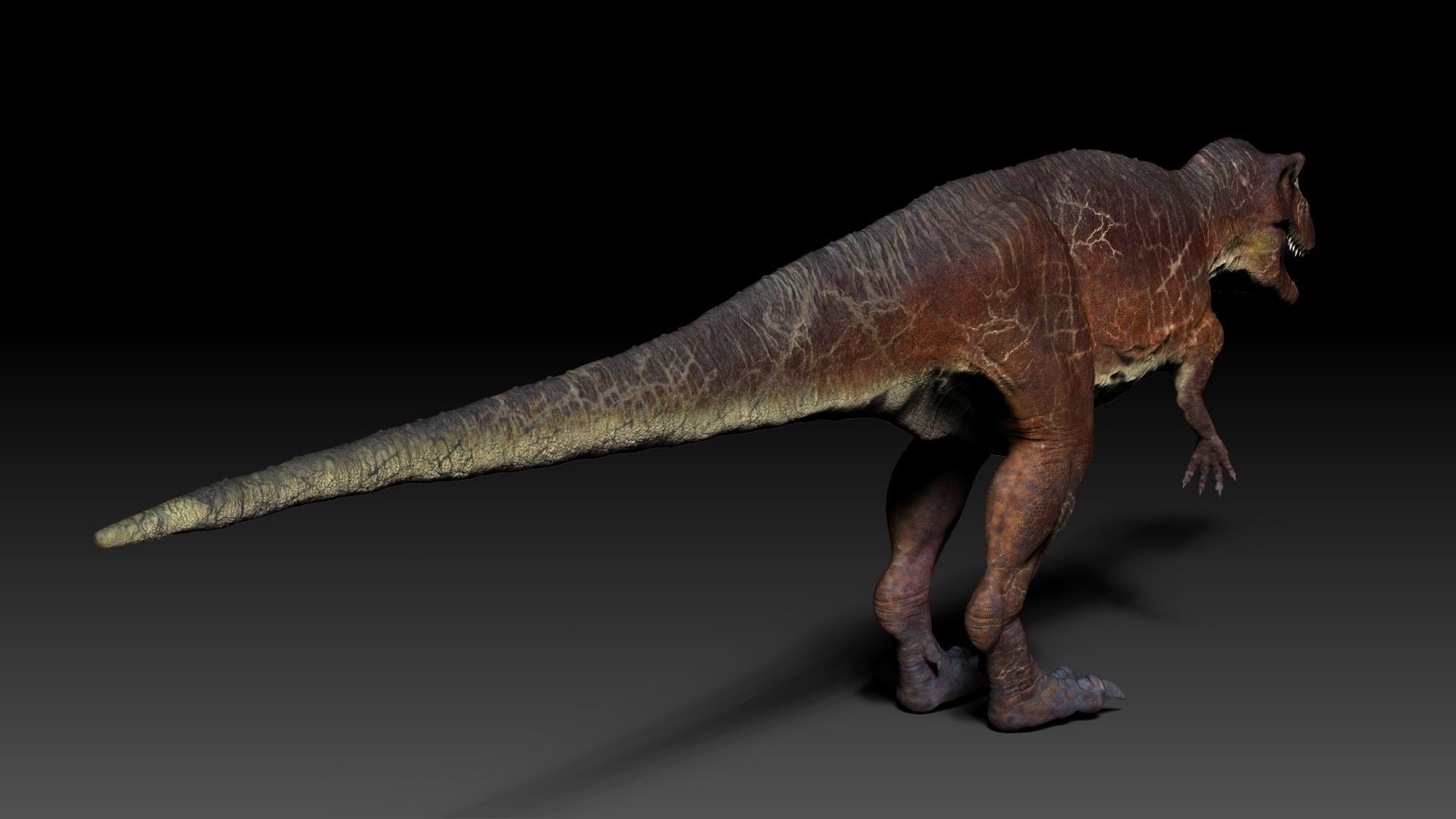 Dinosaur Caretosaurus Sculpt Project 3D model_6