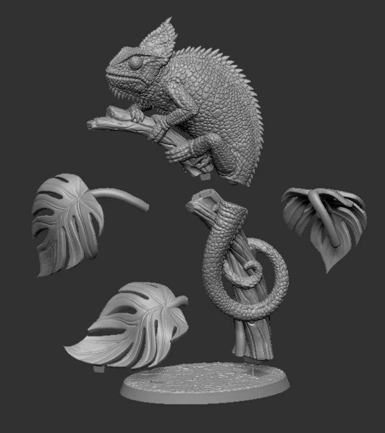 Veiled Chameleon 3D print model_9