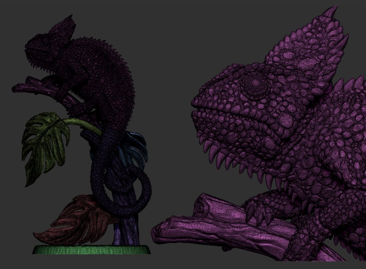 Veiled Chameleon 3D print model_12