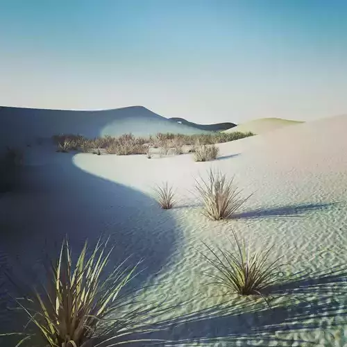 Desert Landscape 3