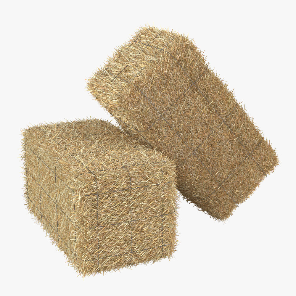 Hay Bale 3D model_9
