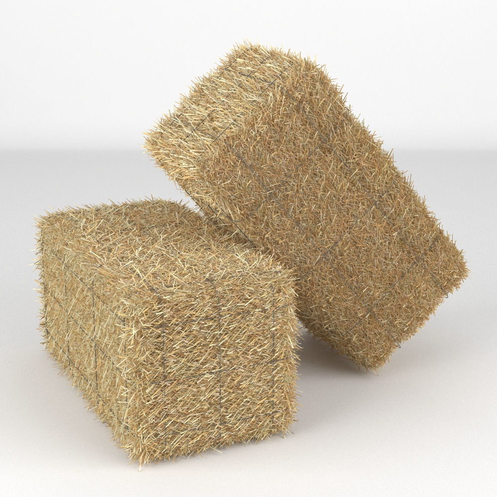 Hay Bale 3D model_5