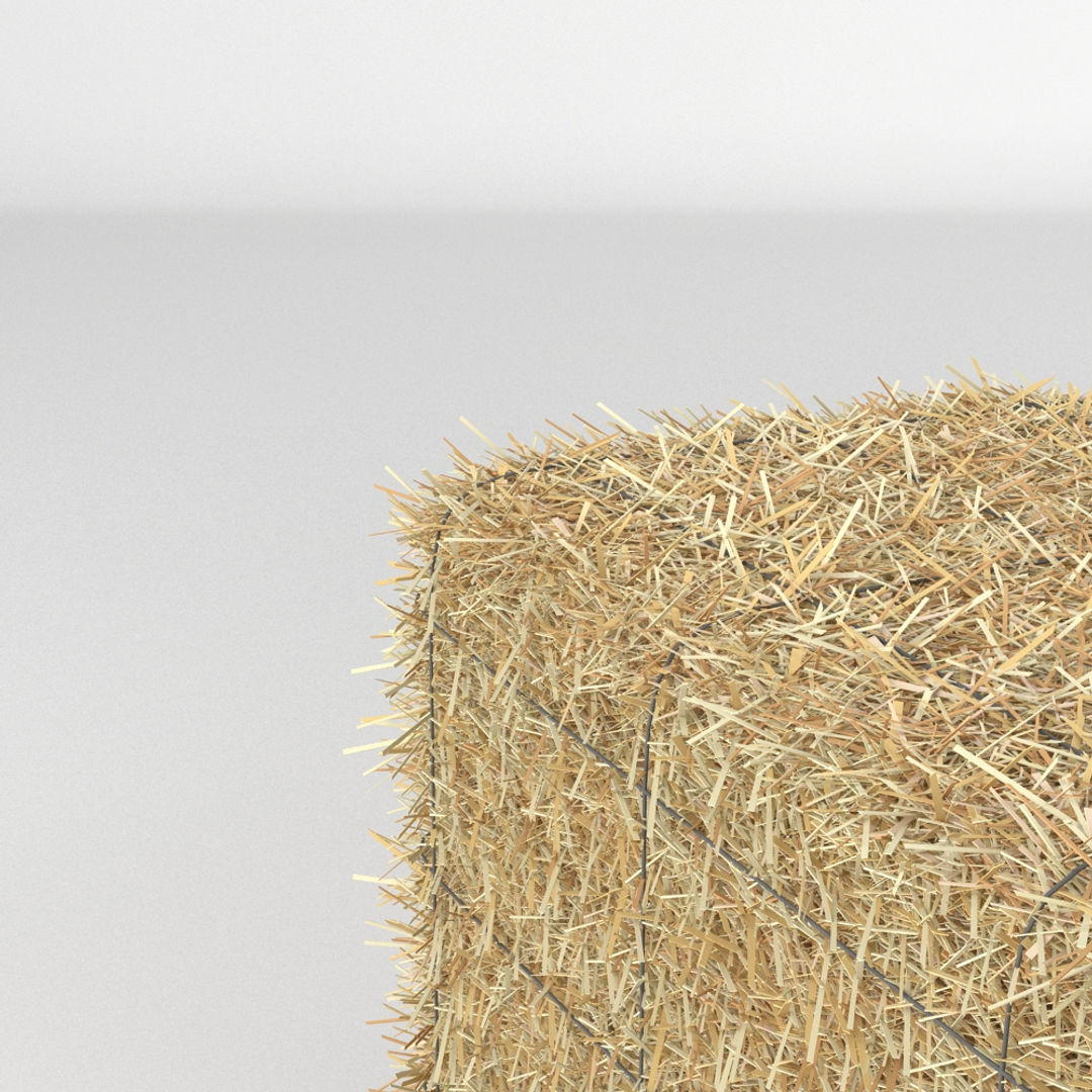 Hay Bale 3D model_3
