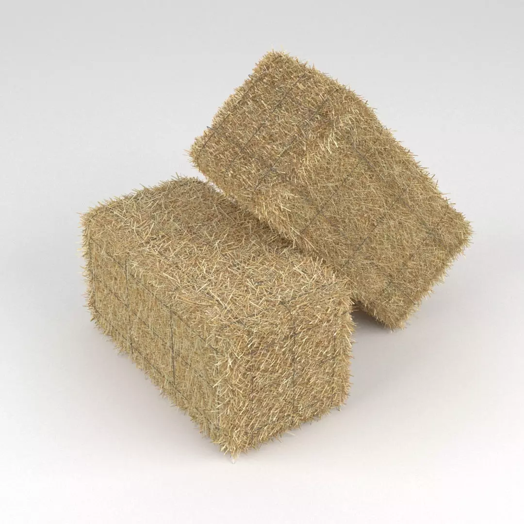 Hay Bale 3D model_0