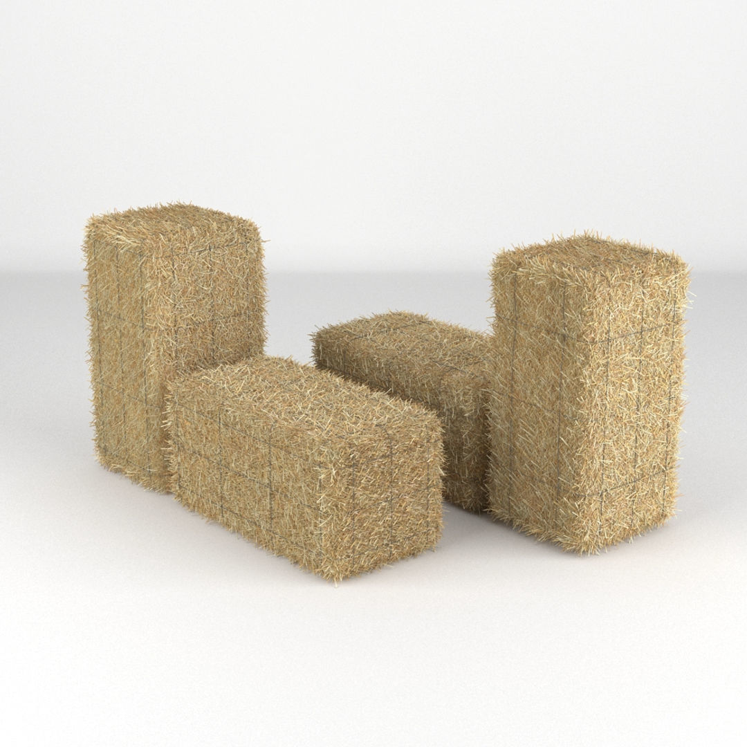 Hay Bale 3D model_4