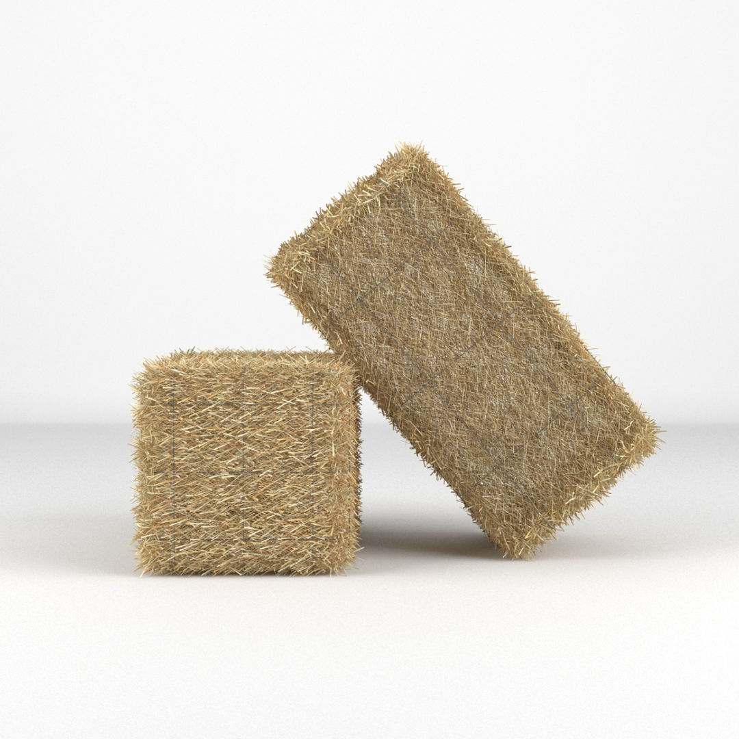 Hay Bale 3D model_1
