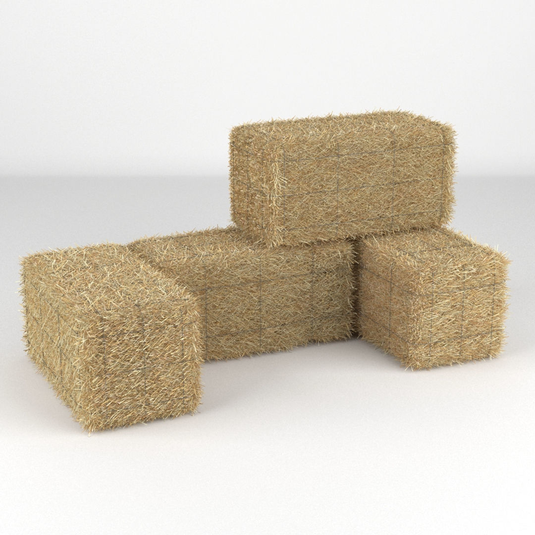 Hay Bale 3D model_2