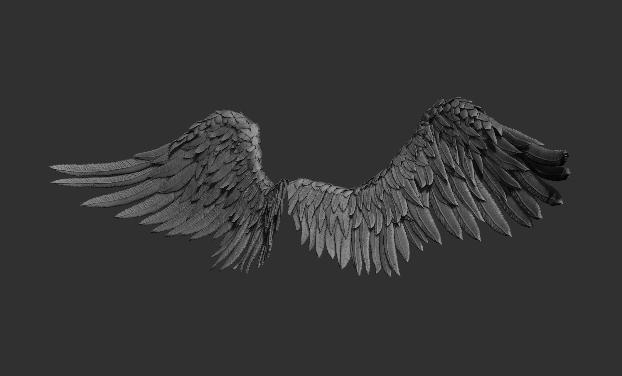 11 Wings 3D model_5