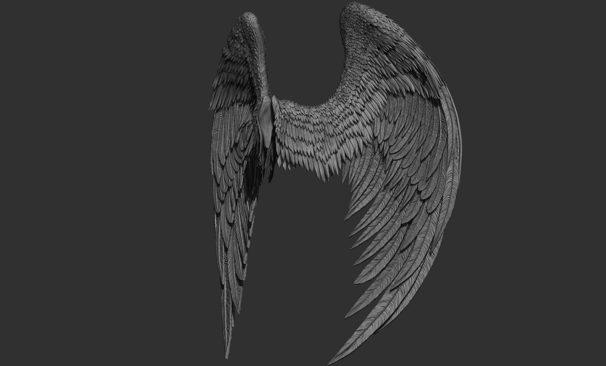 11 Wings 3D model_68
