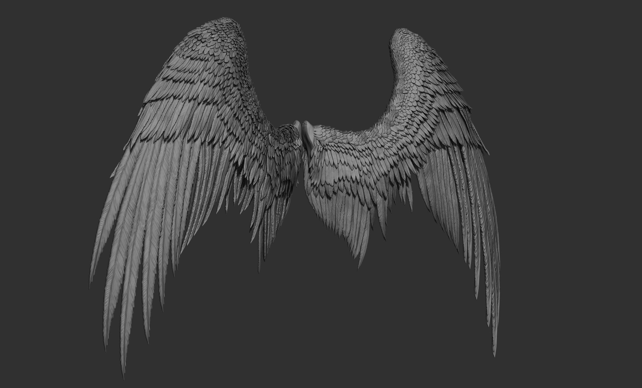 11 Wings 3D model_37