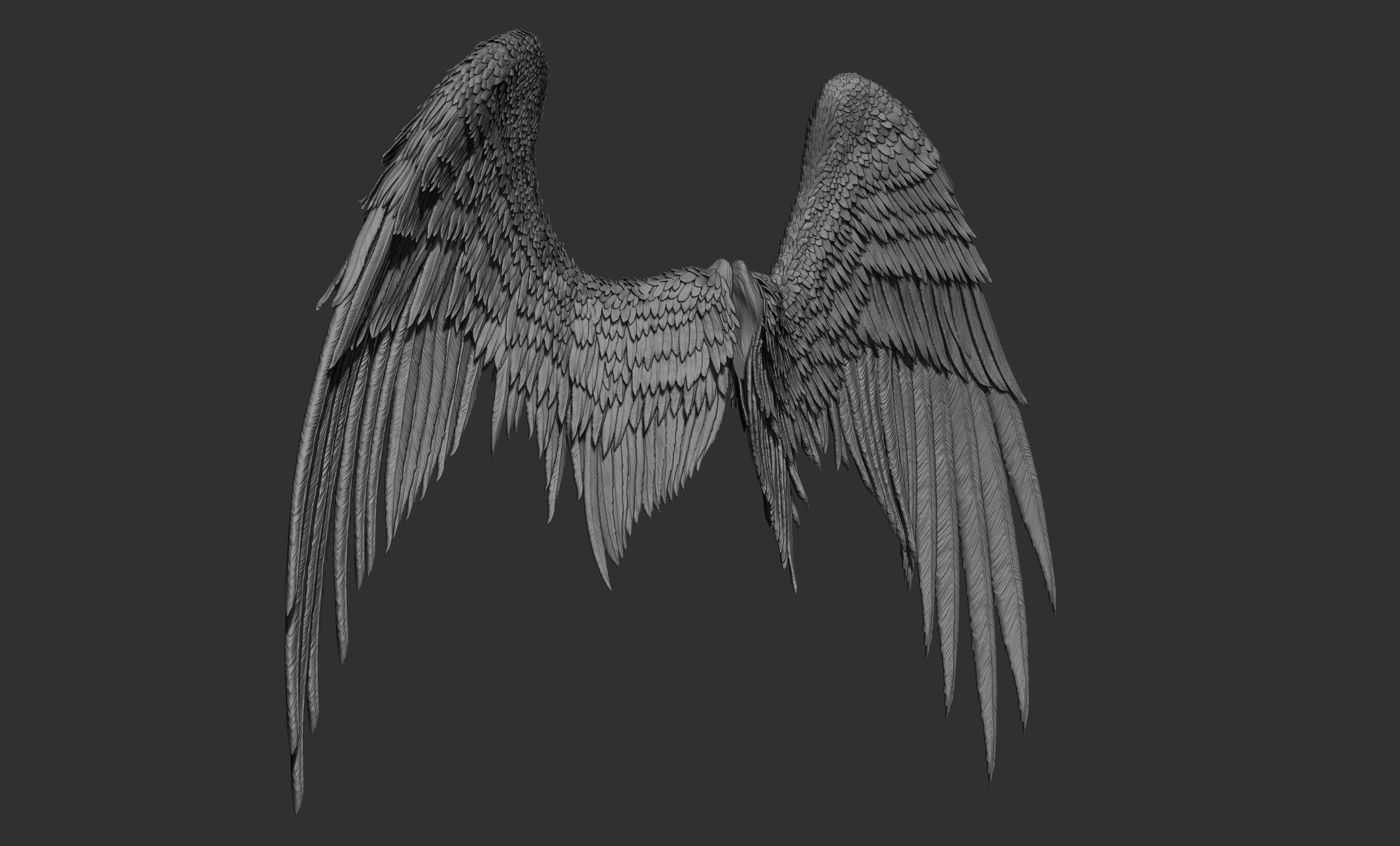 11 Wings 3D model_40