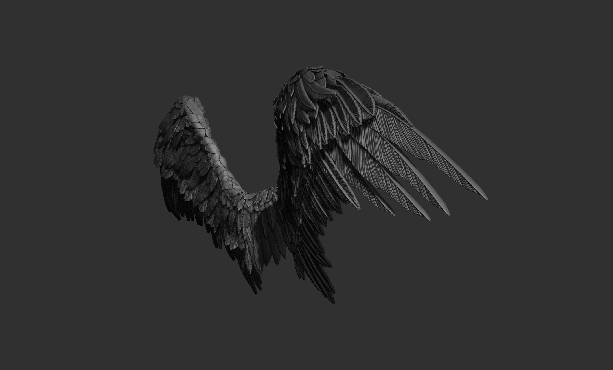 11 Wings 3D model_23
