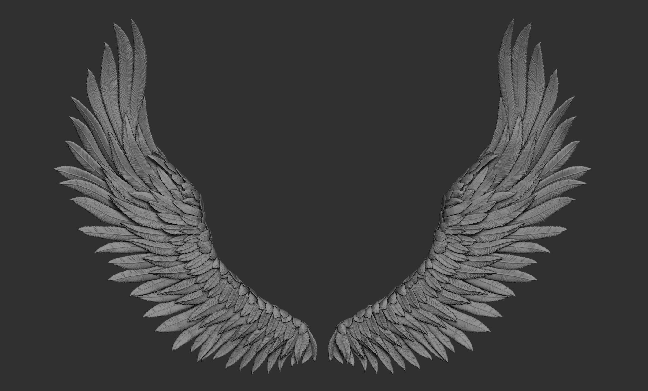 11 Wings 3D model_74