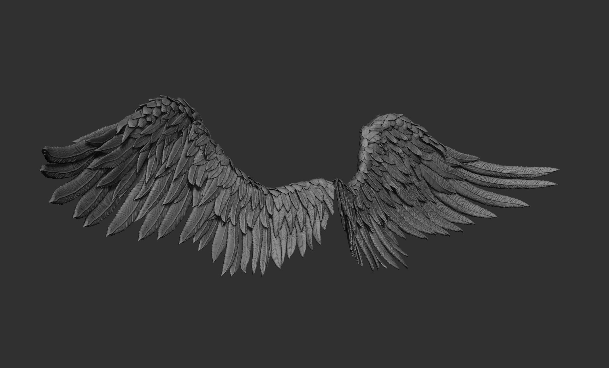 11 Wings 3D model_9