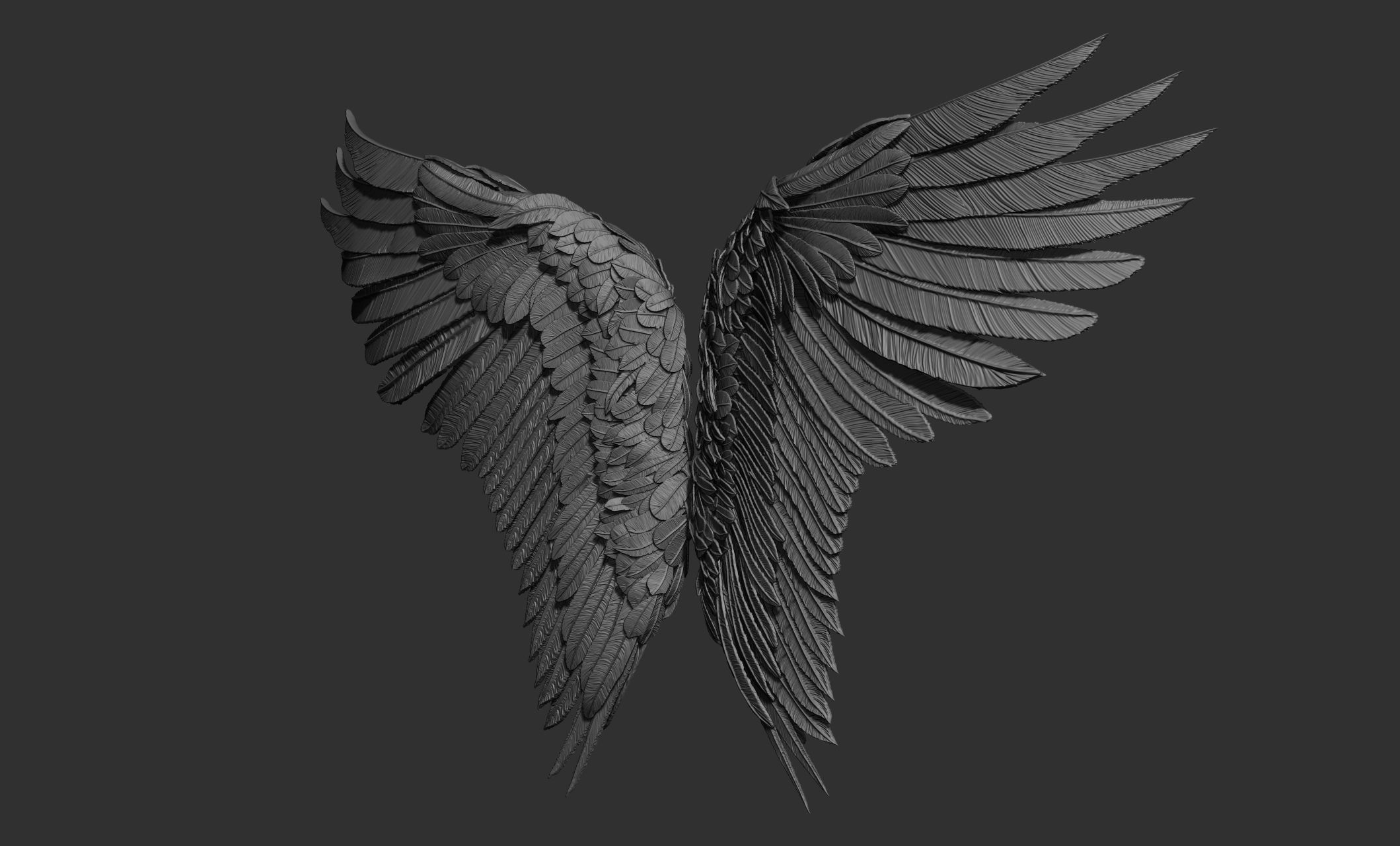 11 Wings 3D model_56