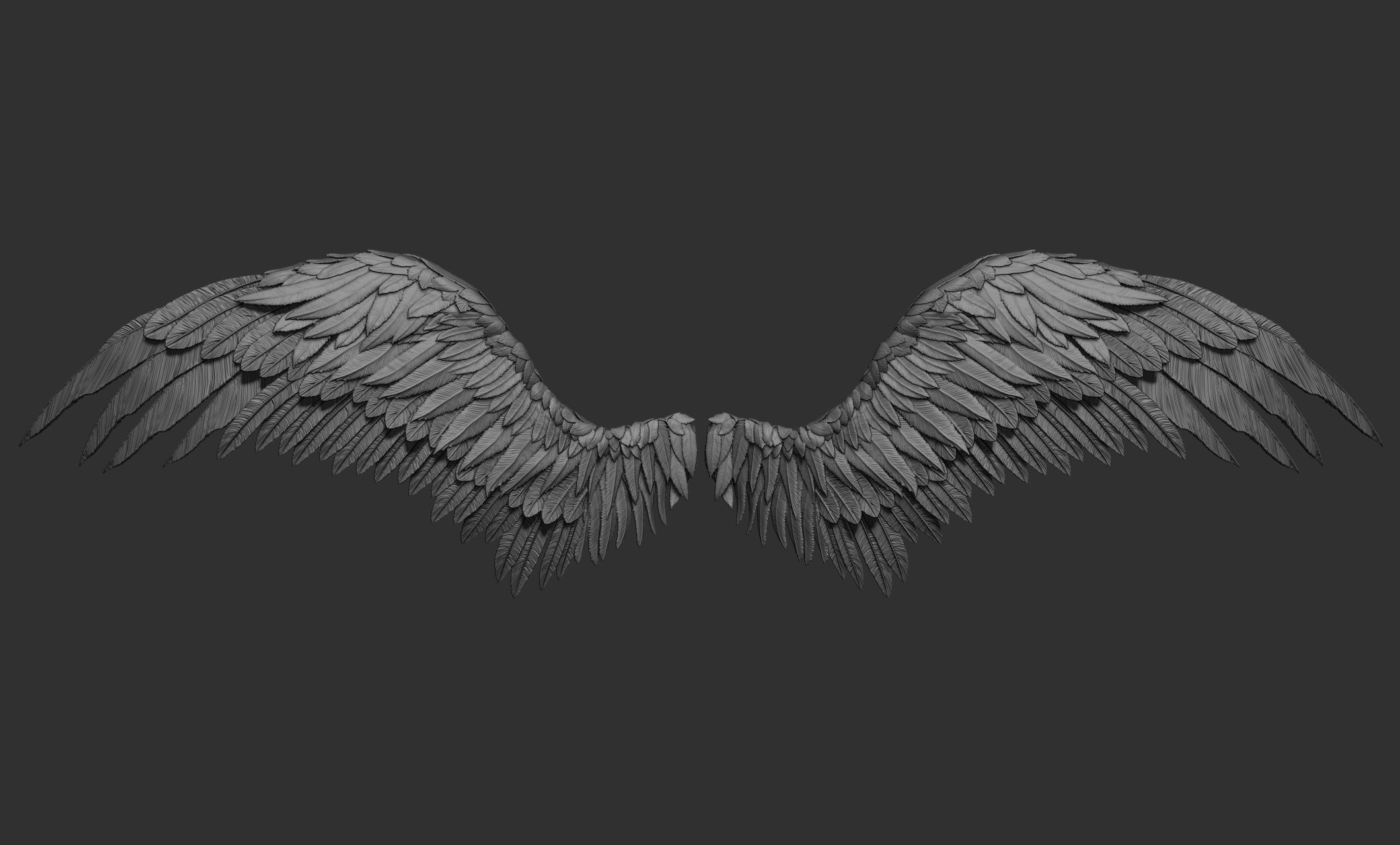11 Wings 3D model_22