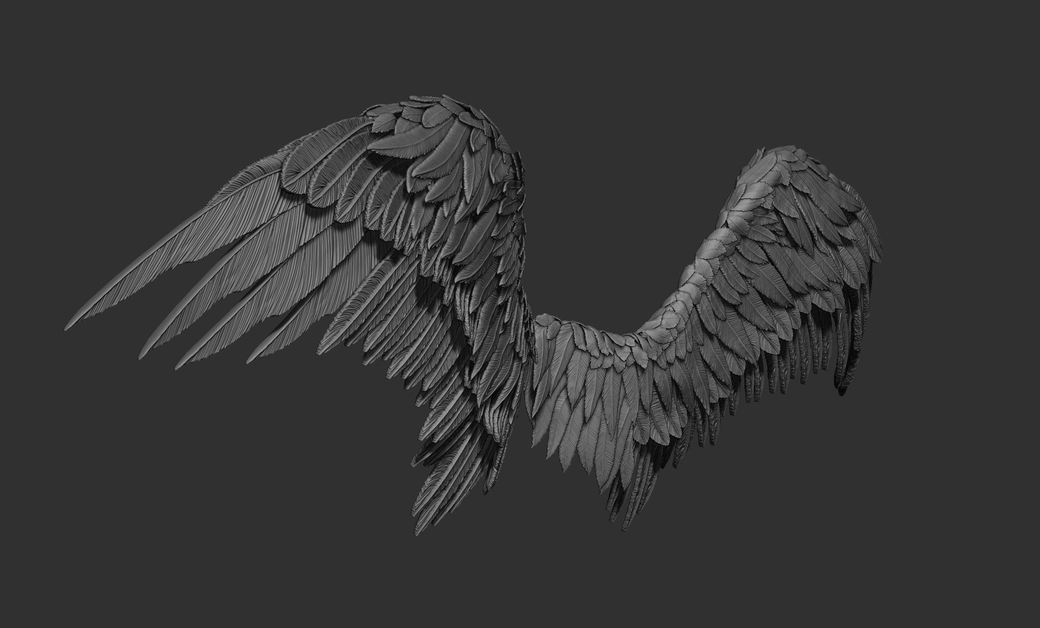 11 Wings 3D model_21