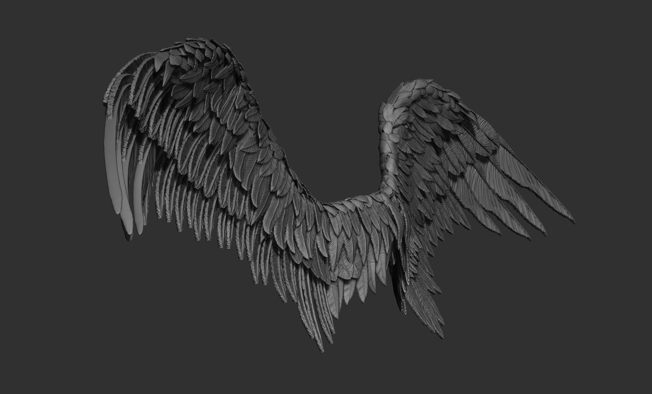 11 Wings 3D model_24