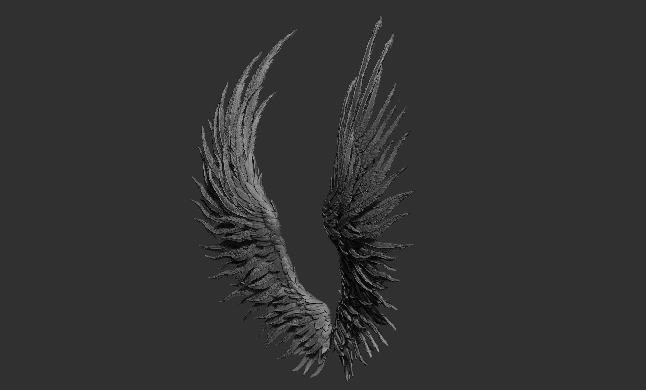 11 Wings 3D model_64