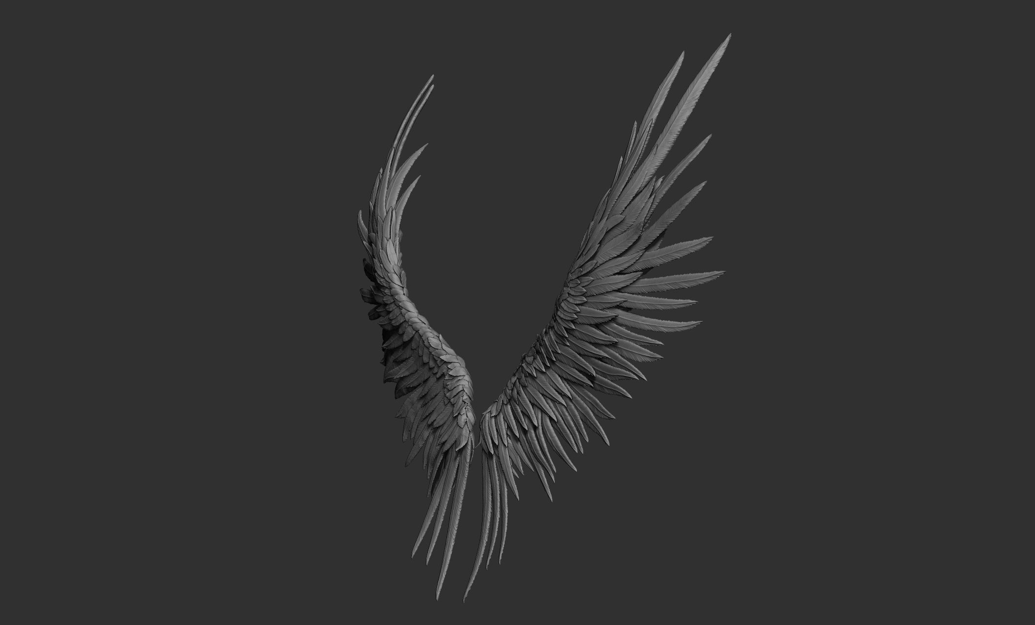 11 Wings 3D model_81