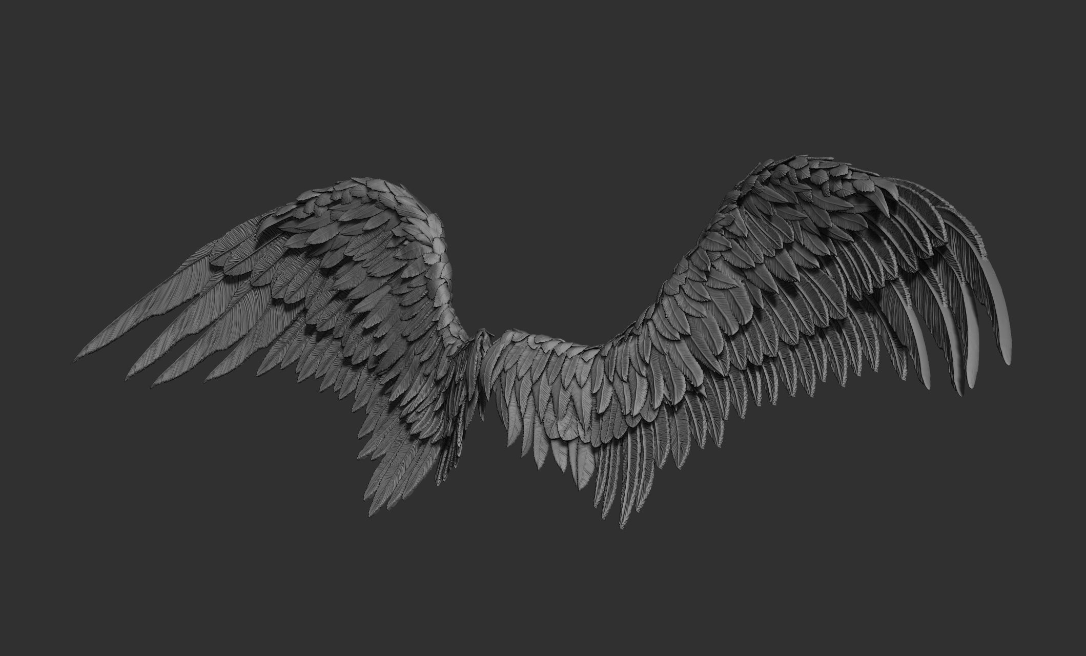 11 Wings 3D model_19